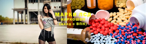 стафф Михайлов